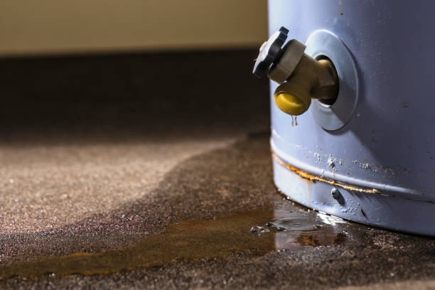 Best Water damage restoration company  in Thiensville, WI