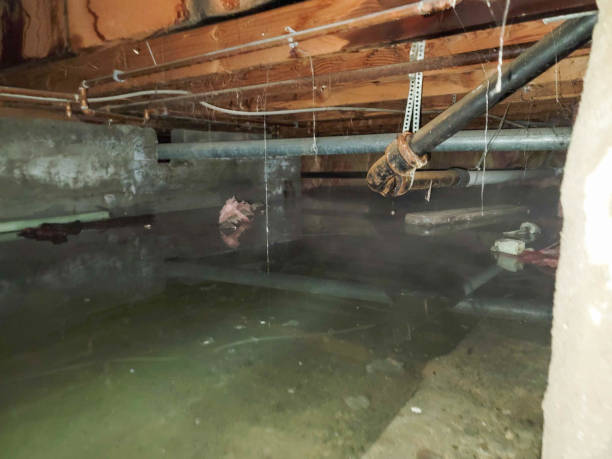 Best Residential water damage restoration  in Thiensville, WI