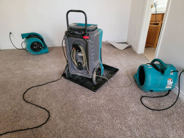 Best Flood damage cleanup  in Thiensville, WI