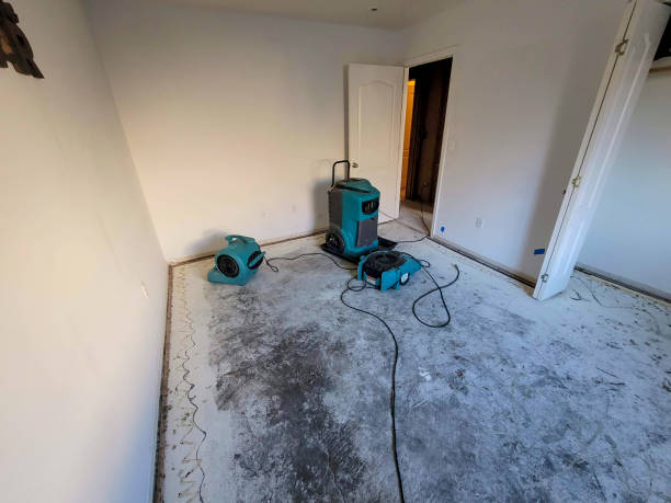 Best Commercial water damage restoration  in Thiensville, WI