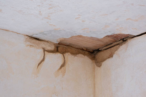 Best Water damage restoration experts  in Thiensville, WI