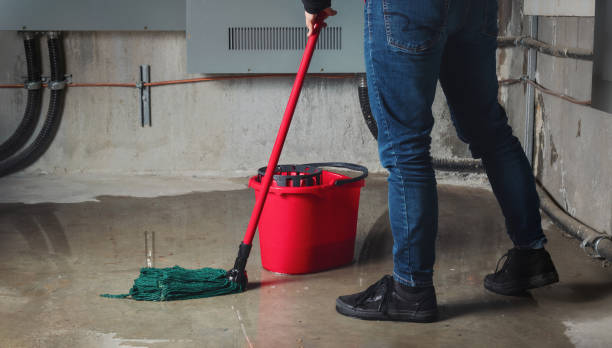 Best Water damage restoration near me  in Thiensville, WI