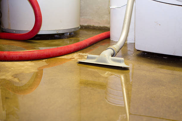 Best Local water damage restoration  in Thiensville, WI