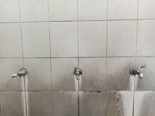 Best Water damage cleanup near me  in Thiensville, WI