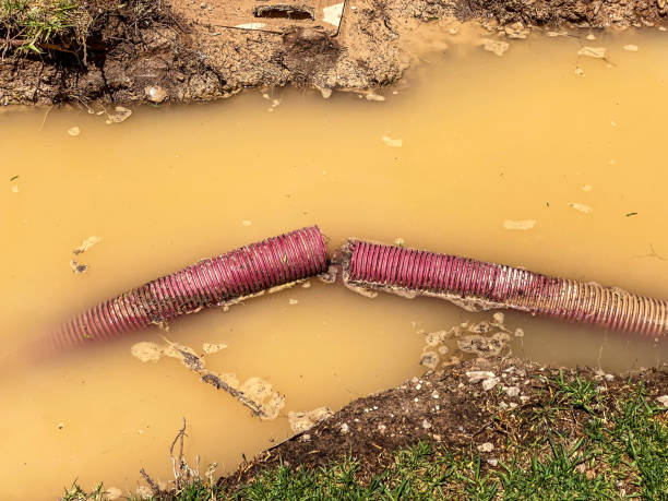 Best Residential water damage restoration  in Thiensville, WI
