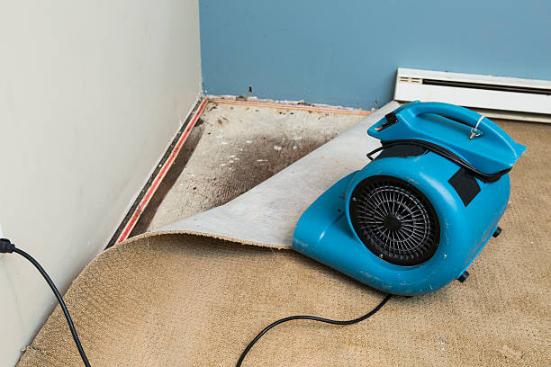 Best Commercial water damage restoration  in Thiensville, WI